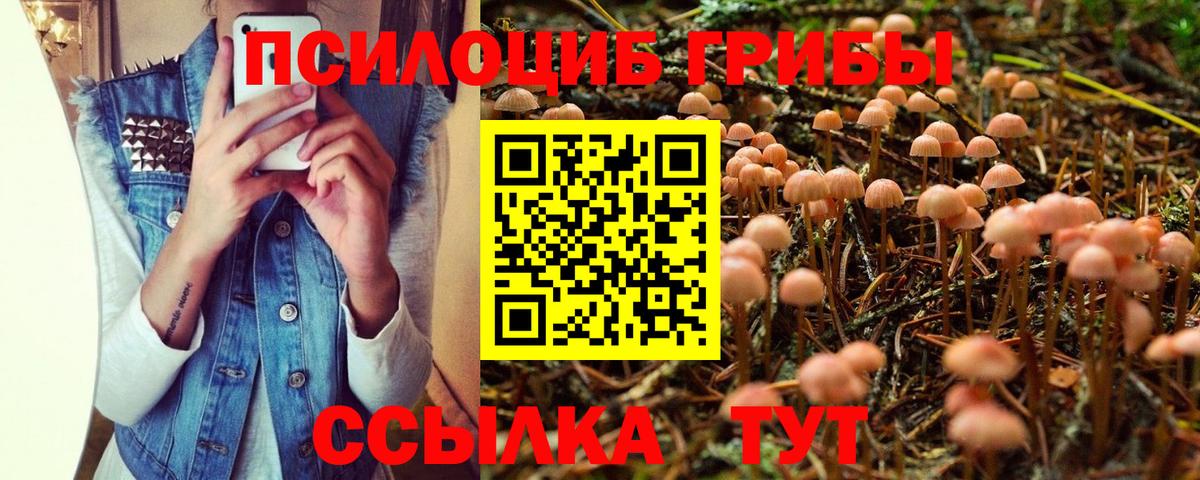 Галлюциногенные грибы MAGIC MUSHROOMS Армавир