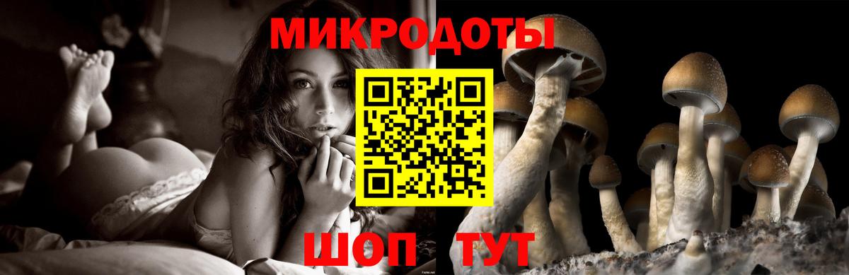 Псилоцибиновые грибы GOLDEN TEACHER  Галлюциногенные грибы GOLDEN TEACHER  Армавир  Вход с VPN 